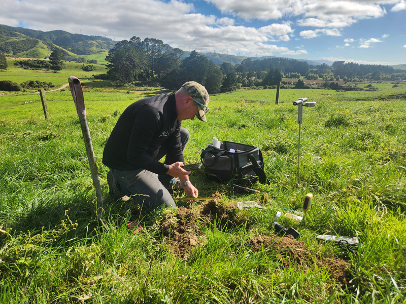 Reviewing soil, herbage and production results