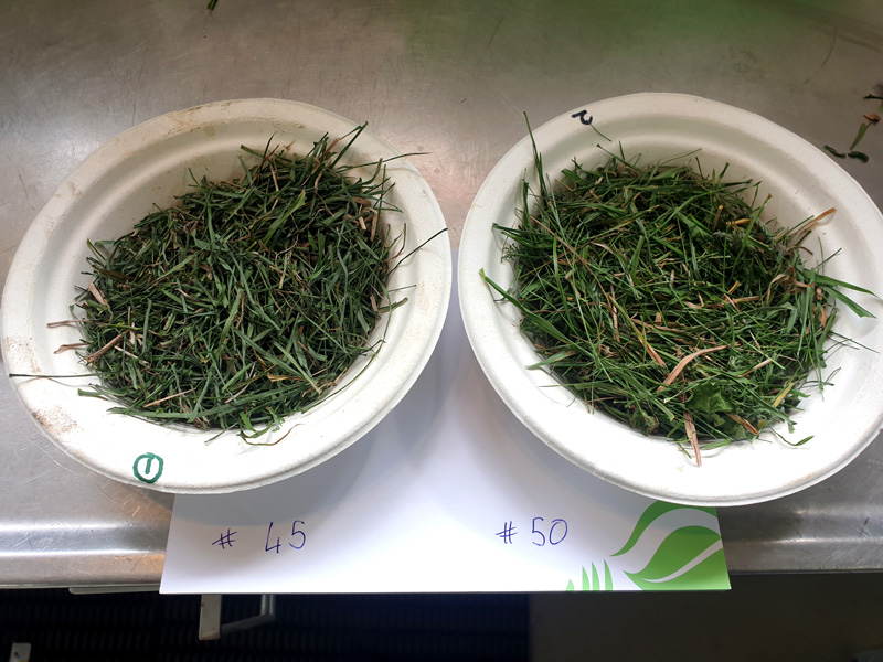Reviewing a farm's three year fertiliser programme