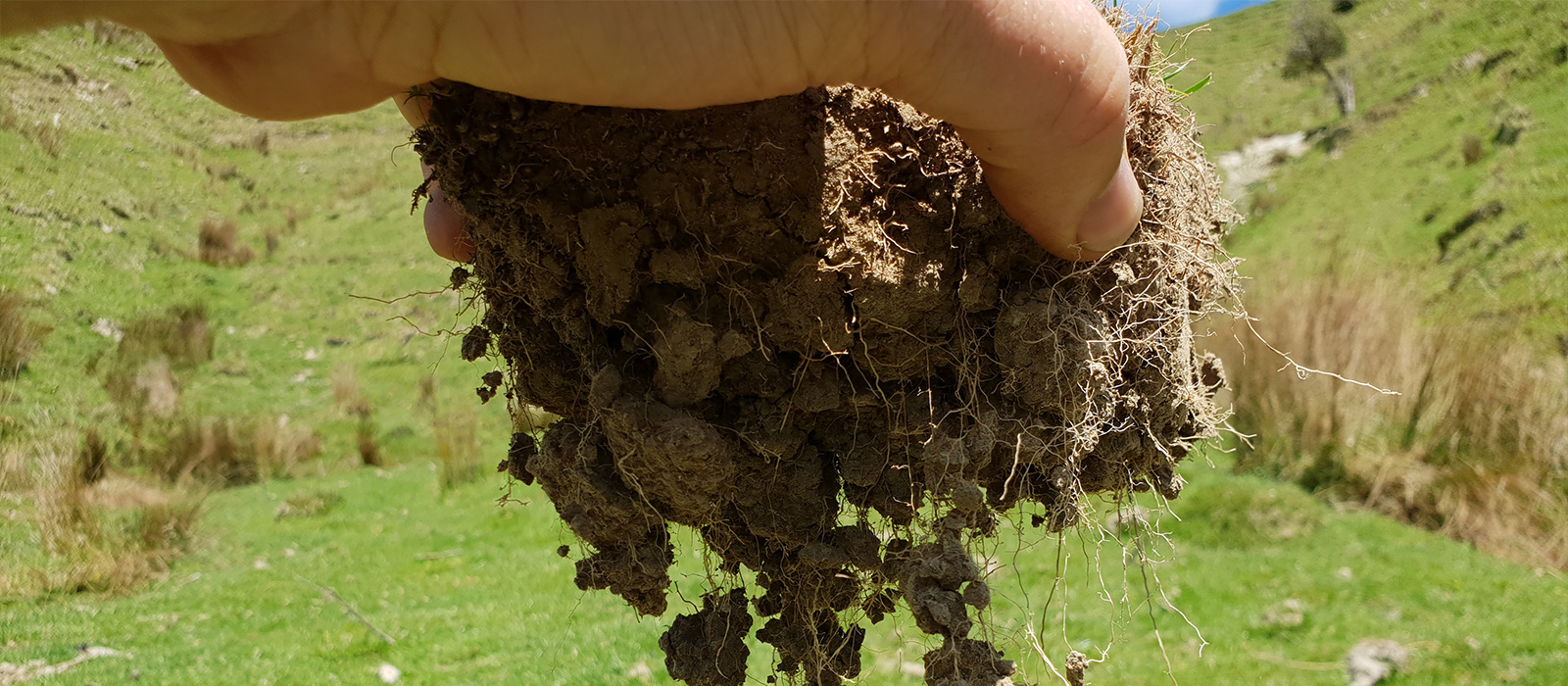 Soil testing on farm